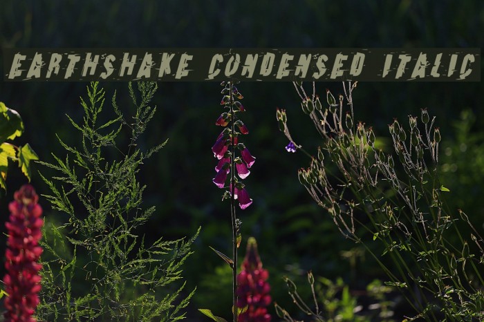 Earthshake Condensed Italic Example 1