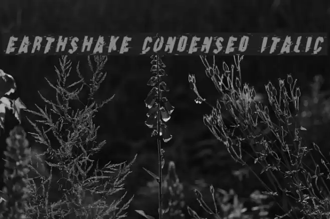 Earthshake Condensed Italic Font examples