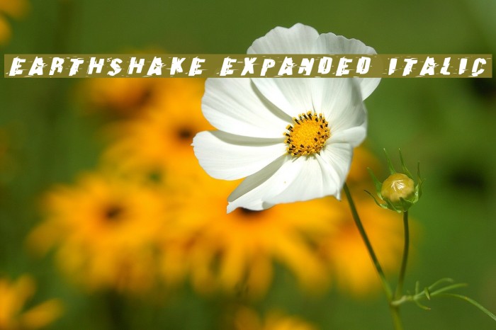 Earthshake Expanded Italic Font examples