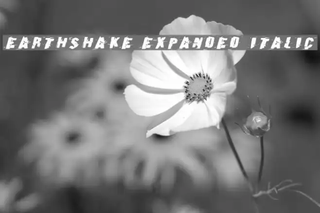 Earthshake Expanded Italic Example 2