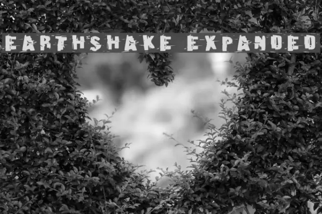 Earthshake Expanded Example 2