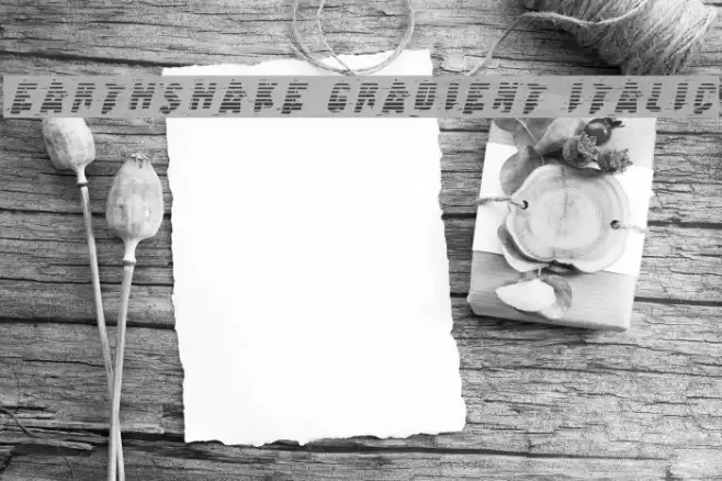 Earthshake Gradient Italic Example 2