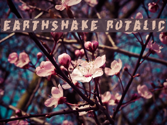 Earthshake Rotalic Example 1