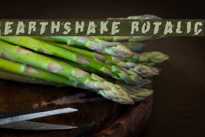 Earthshake Rotalic Example 3