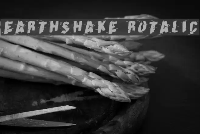 Earthshake Rotalic Font examples