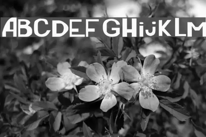 Earthworm Jim Font examples