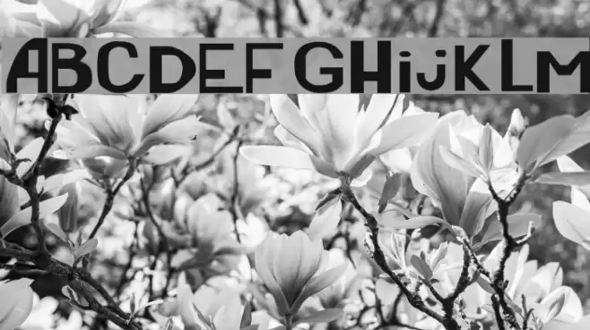 Earthworm Jim Font examples