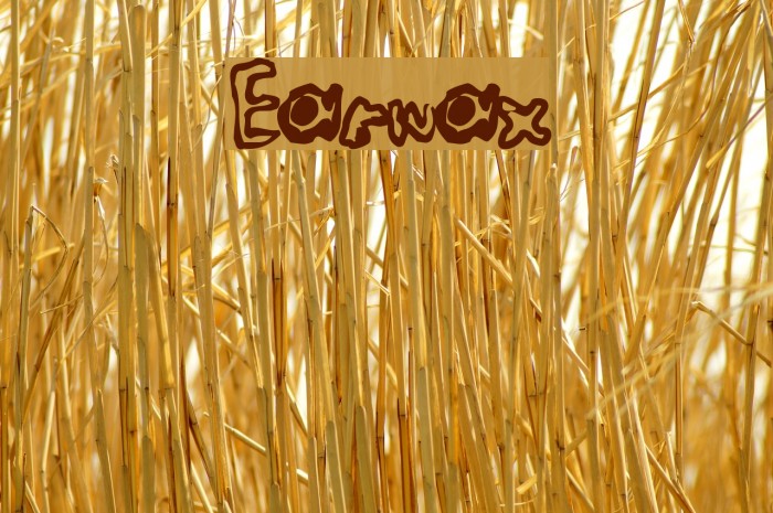 Earwax フォント examples