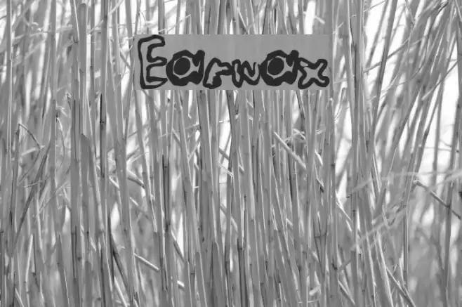 Earwax Font examples