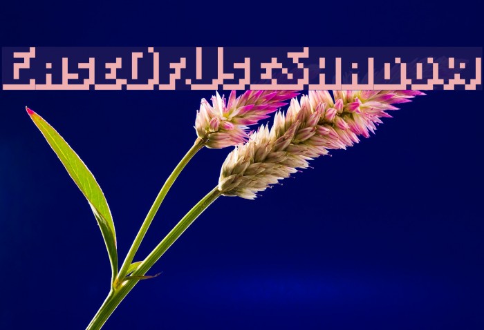 EaseOfUseShadow Font examples