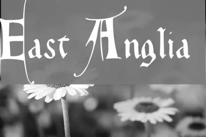 East Anglia Example 2