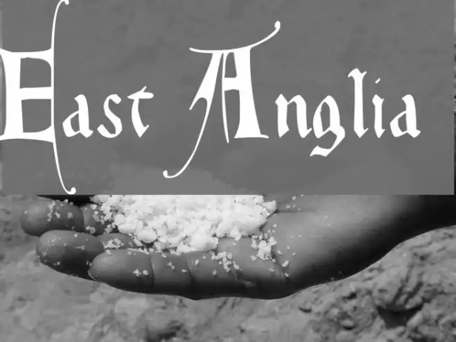 East Anglia Example 3