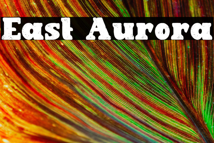 East Aurora Example 2