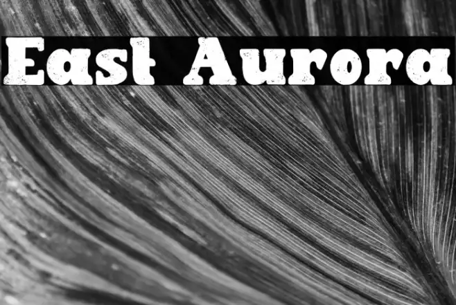East Aurora Example 2