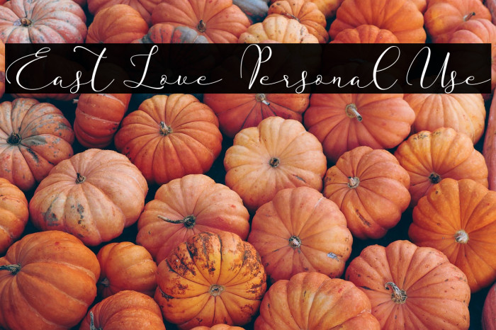 East Love - Personal Use Example 2