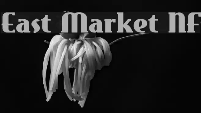 East Market NF Font examples