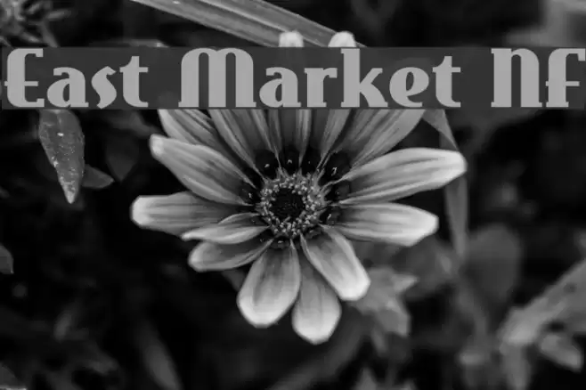 East Market NF Font examples