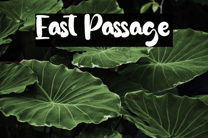 East Passage Example 2