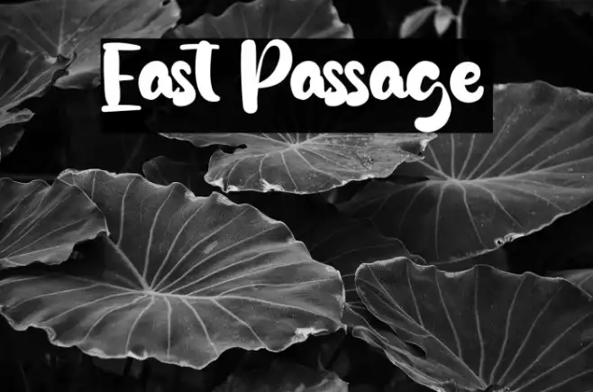 East Passage Example 2