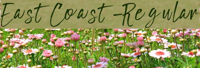 EastCoast-Regular Font examples