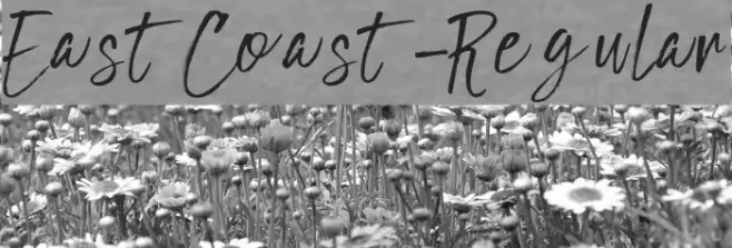EastCoast-Regular Example 2