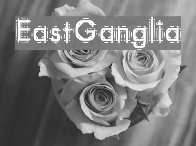EastGanglia Example 1