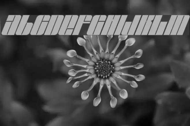 EastLift Font examples