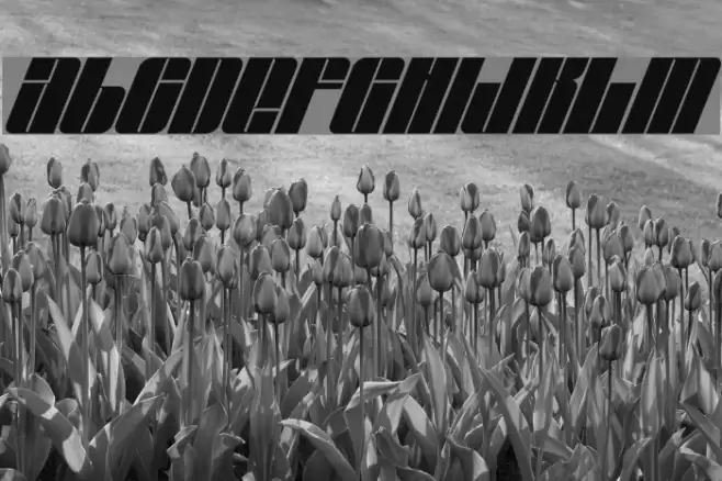 EastLift Font examples