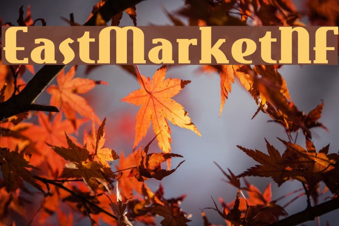 EastMarketNF Font examples
