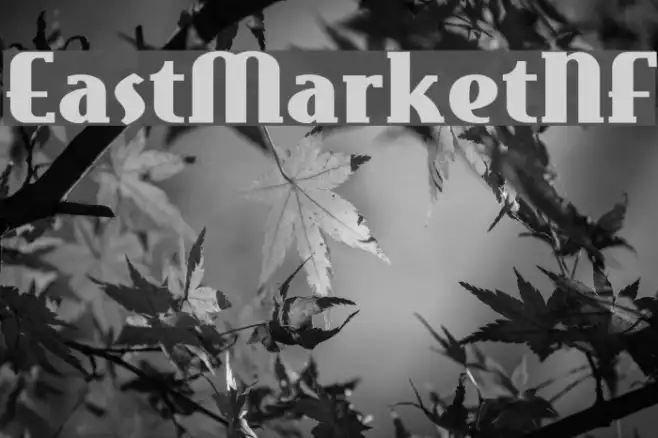 EastMarketNF Example 1
