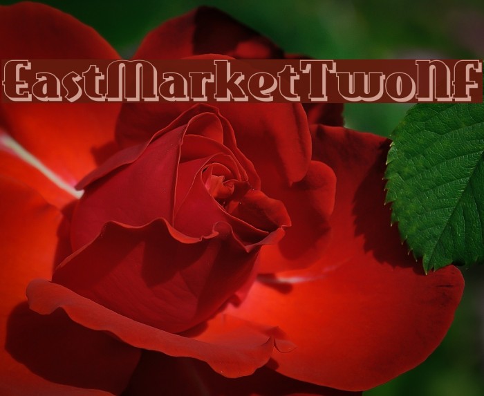 EastMarketTwoNF Example 1