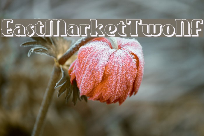 EastMarketTwoNF Example 2