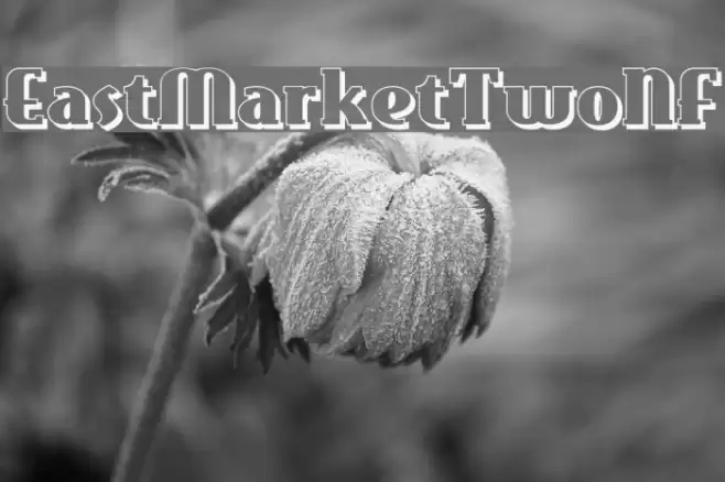 EastMarketTwoNF Font examples