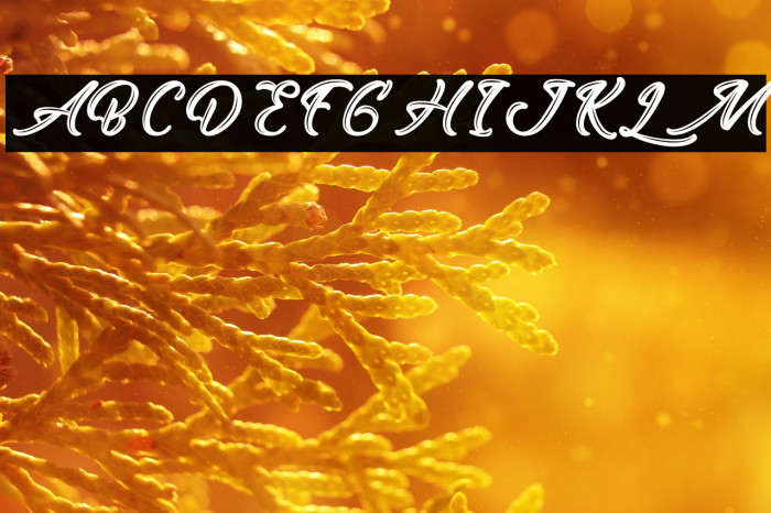 EastOctopus-PersonalUse Example 1