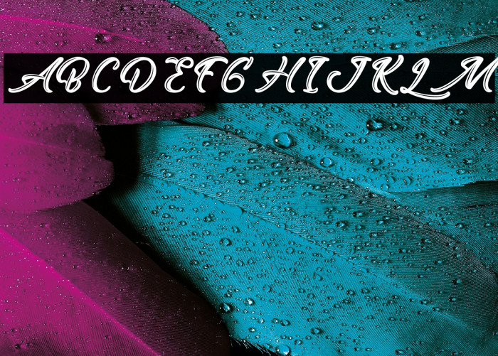 EastOctopus-PersonalUse Example 2