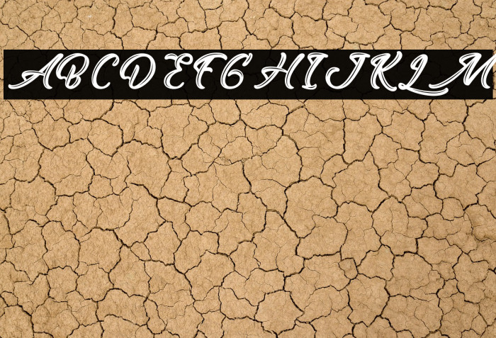 EastOctopus-PersonalUse Example 3