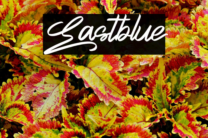 Eastblue Example 1