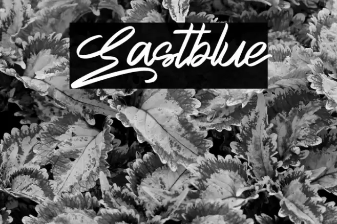 Eastblue خط examples