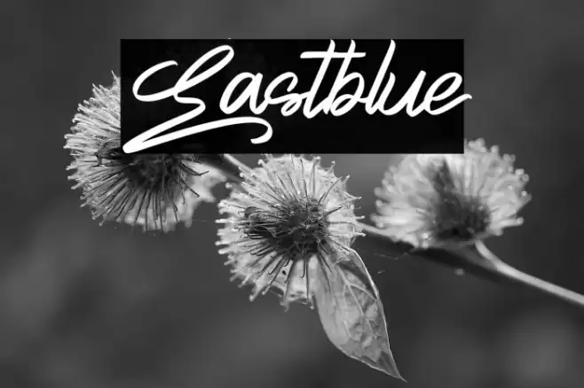 Eastblue خط examples