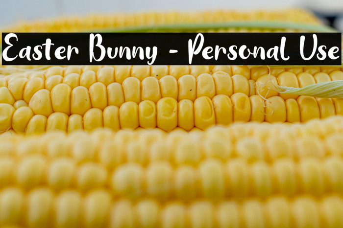 Easter Bunny - Personal Use Example 3