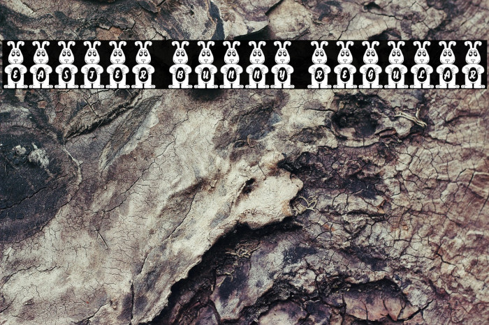 Easter Bunny Regular Example 2