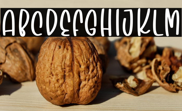 Easter Fiesta Example 3