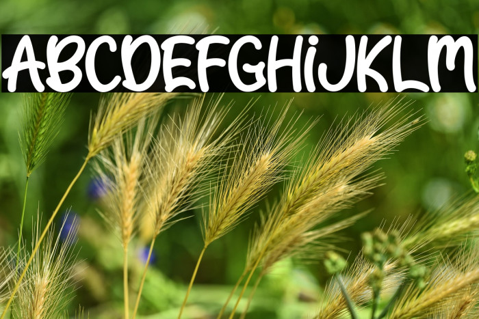 Easter Gift - Personal Use Example 1