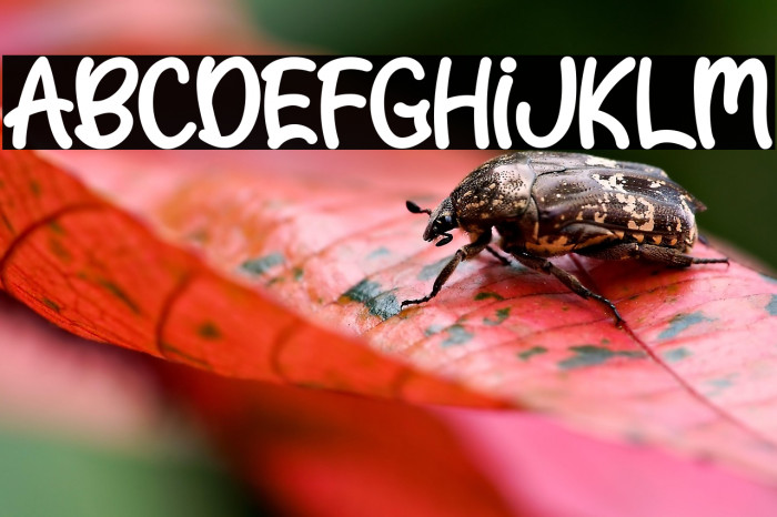 Easter Gift - Personal Use Example 3