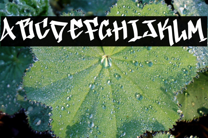 Easter Graffiti Demo Example 3