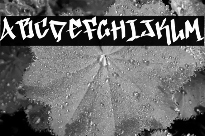 Easter Graffiti Demo خط examples