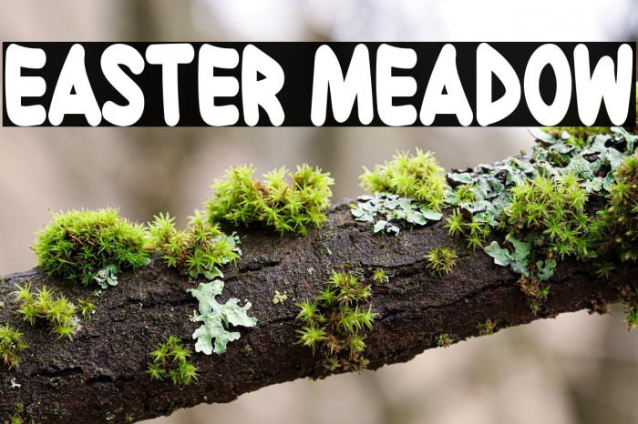 Easter Meadow Example 1