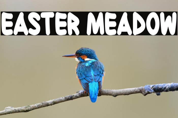 Easter Meadow Example 2