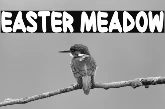 Easter Meadow フォント examples