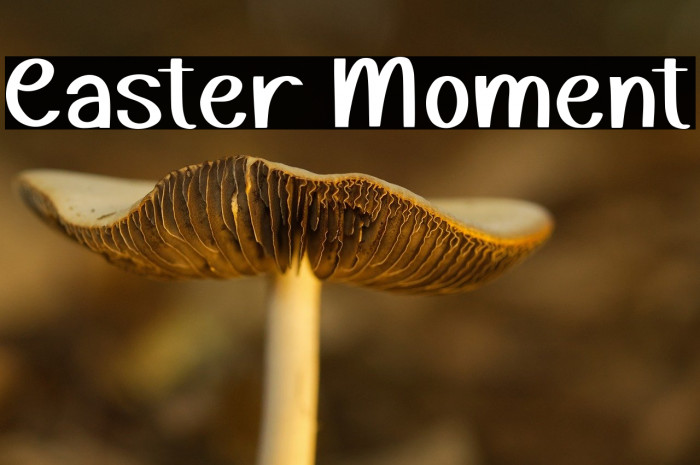Easter Moment Example 1